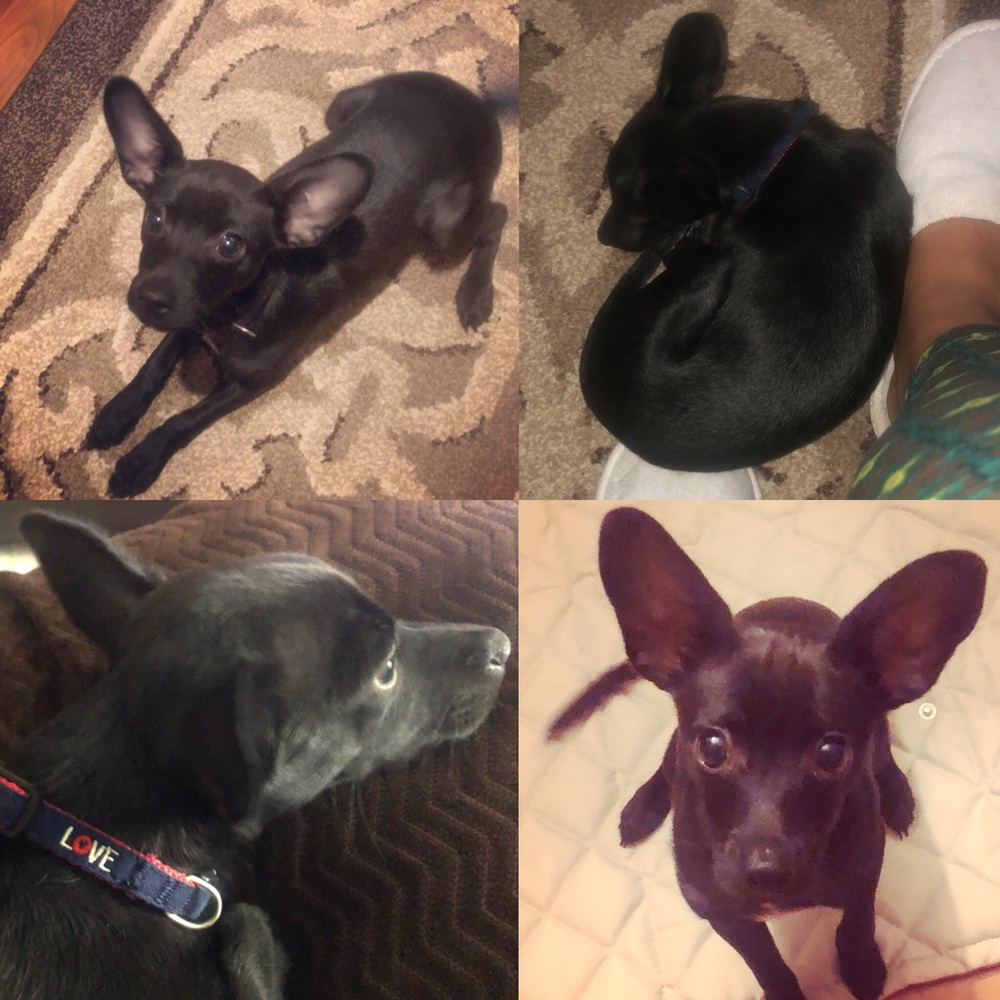 Meet your Posher, Eleanne